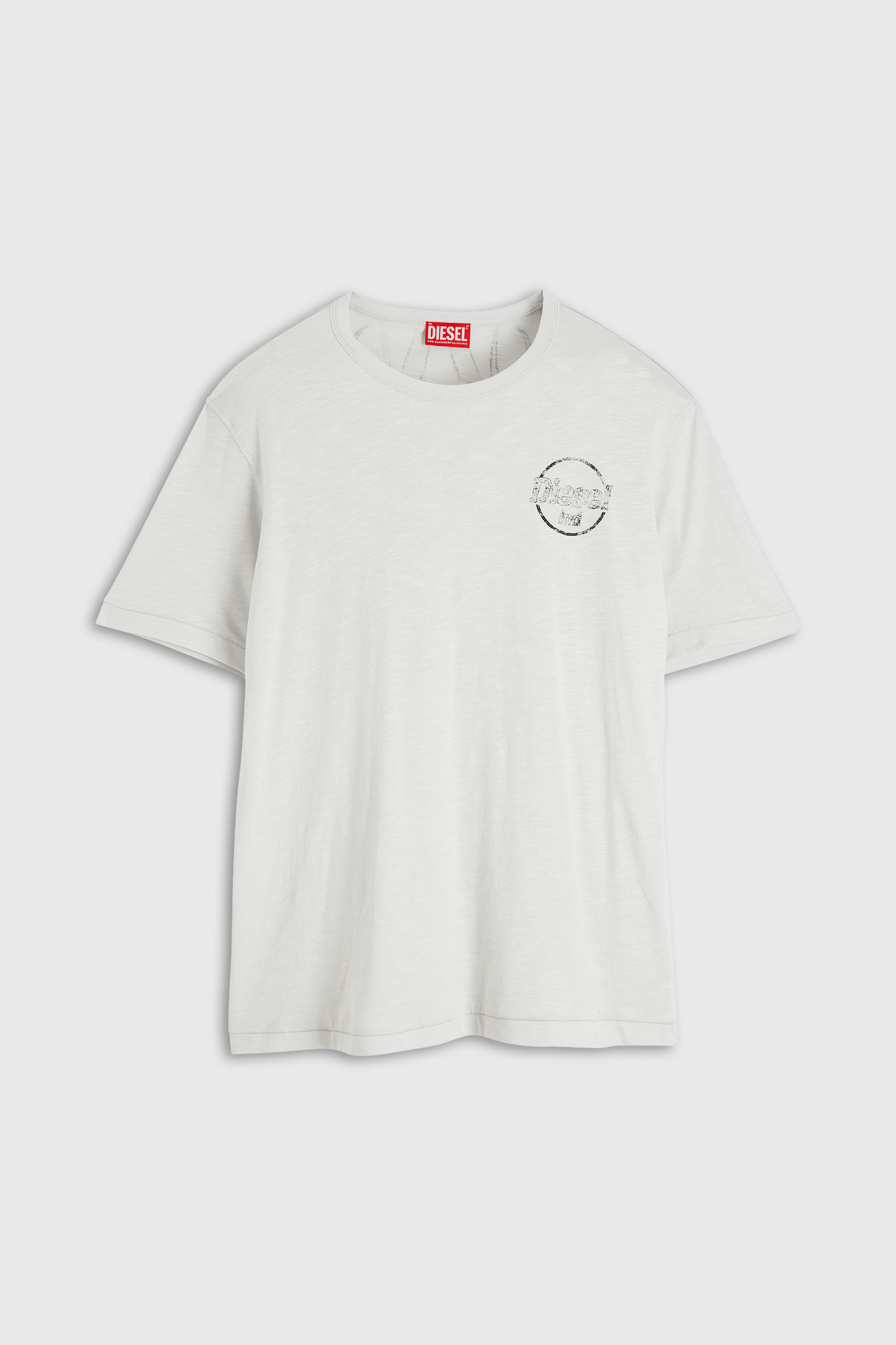 Diesel - T-ADJUST-B11, Man's T-shirt in slub jersey with crack print in null - 4