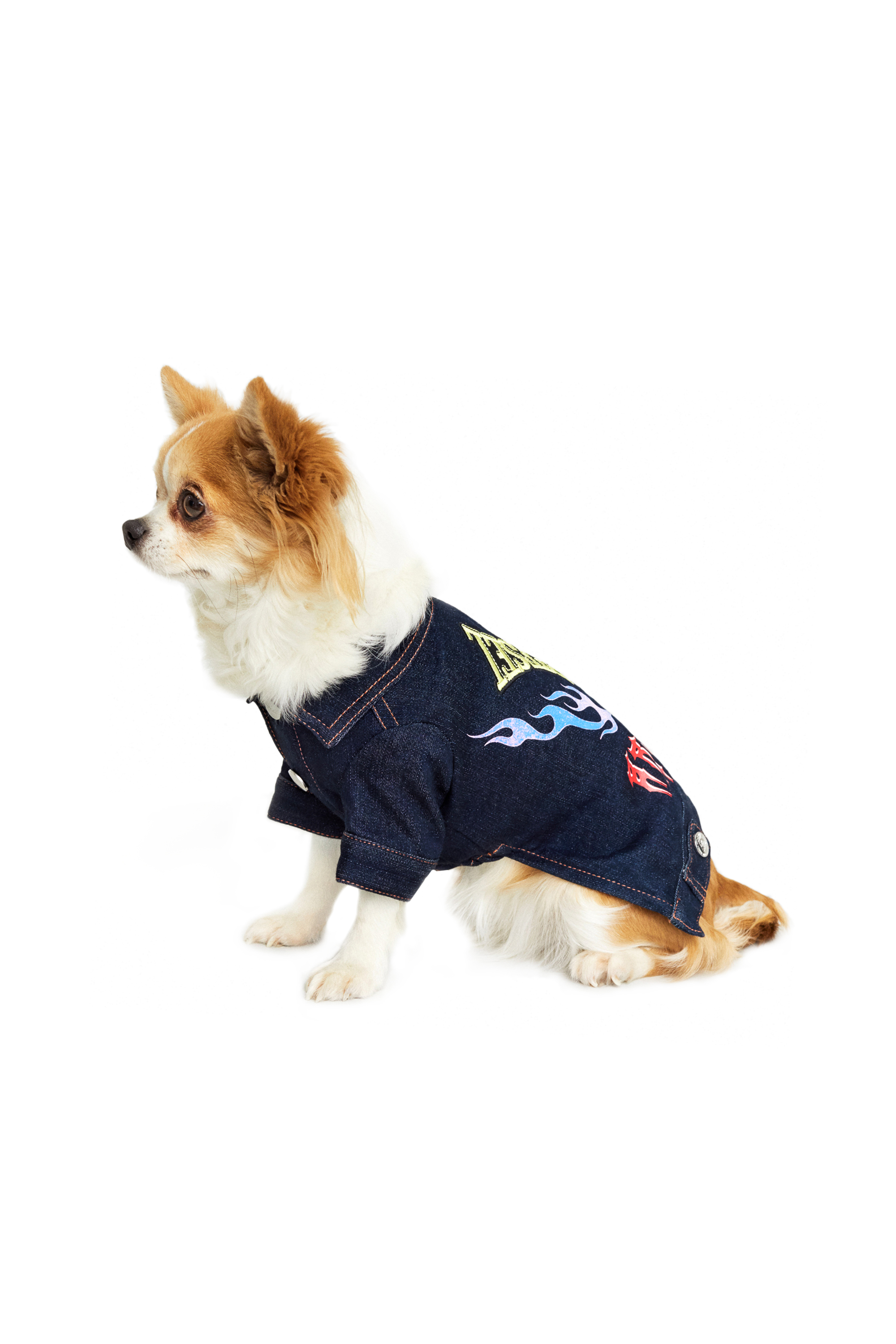Diesel - PET-FLAMES, Dark Blue - Image 4