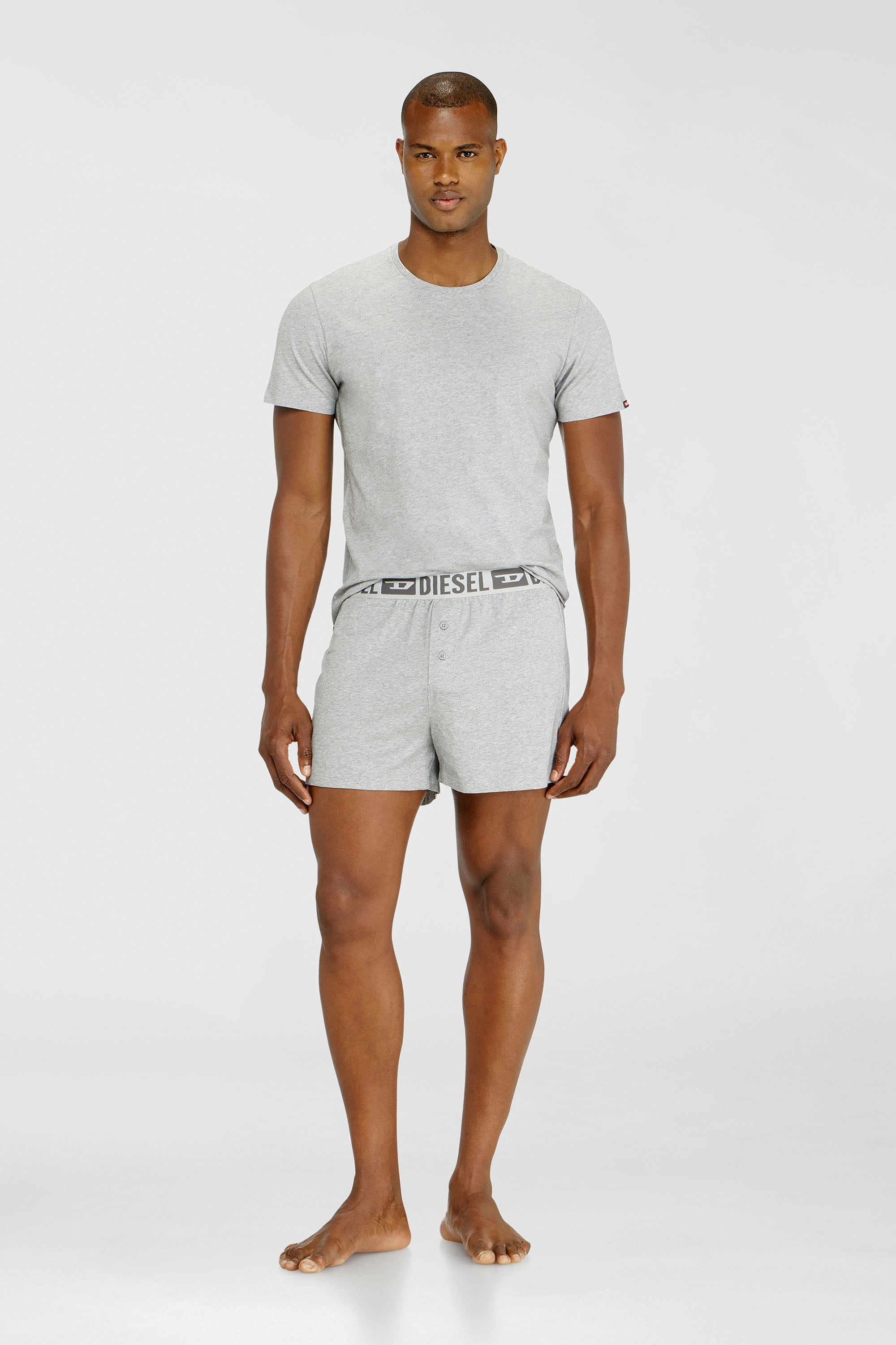 Diesel - STARKIE-D-CORE-2PACK, Man's Two-pack boxer shorts in stretch cotton in Grey - 2
