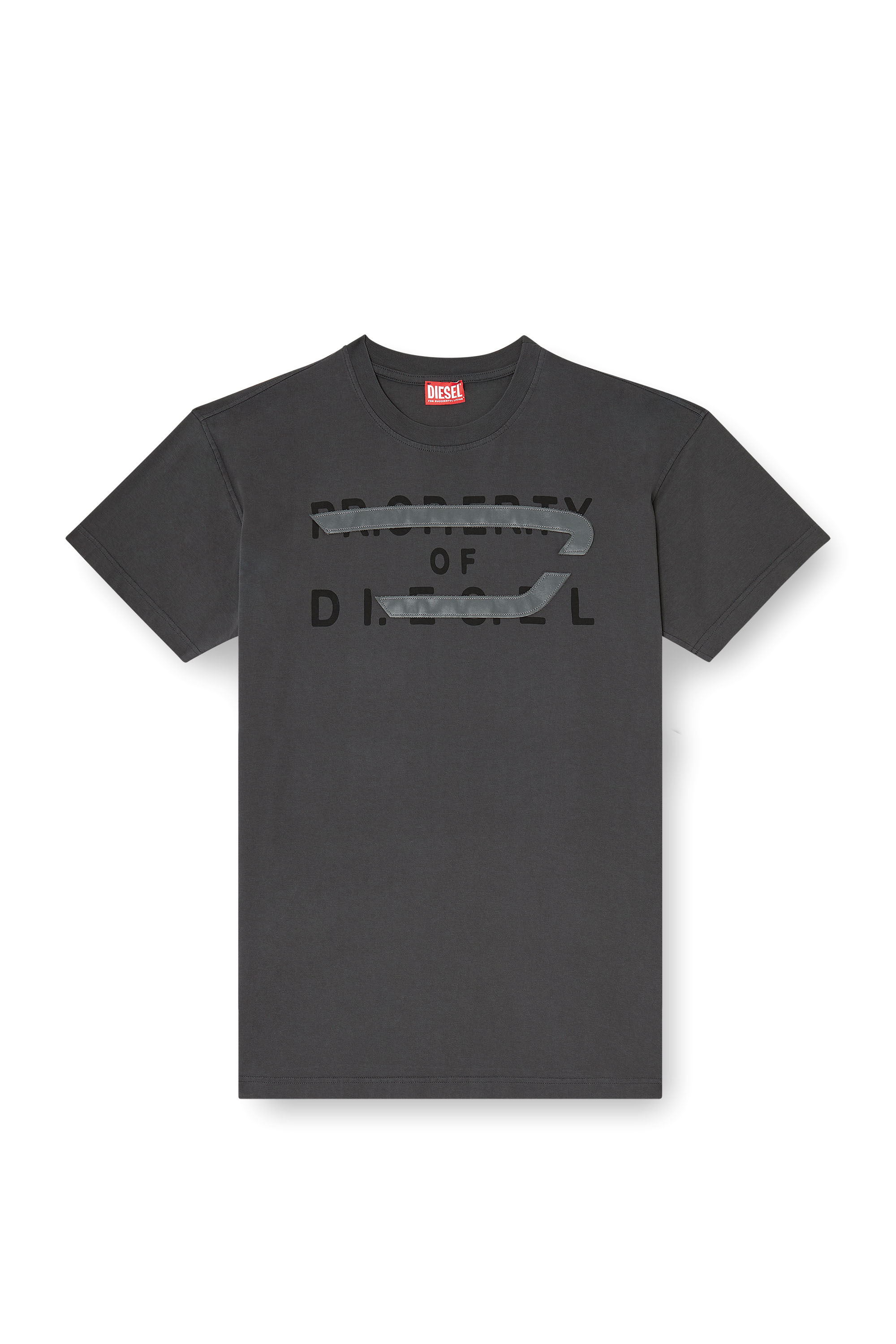 Diesel - T-NORM-V11, Man's Regular T-shirt with D appliqu&eacute; in Grey - 2